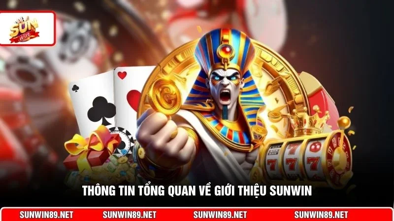 Thông tin tổng quan về giới thiệu Sunwin